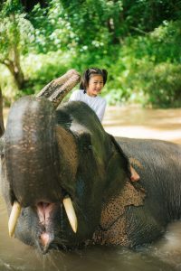 ทัวร์เดินป่า อาบน้ำช้าง ล่องแพไม้ไผ่ อ.แม่วาง เชียงใหม่