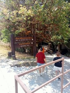 ทัวร์ดอยอินทนนท์ เชียงใหม่