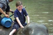 เลี้ยงช้าง ดูแลช้าง Baan Chang Elephant Park