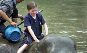 เลี้ยงช้าง ดูแลช้าง Baan Chang Elephant Park