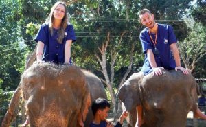 เลี้ยงช้าง ดูแลช้าง Baan Chang Elephant Park