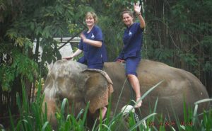 เลี้ยงช้าง ดูแลช้าง Baan Chang Elephant Park