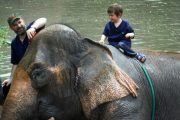 เลี้ยงช้าง ดูแลช้าง Baan Chang Elephant Park