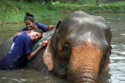 เลี้ยงช้าง ดูแลช้าง Baan Chang Elephant Park