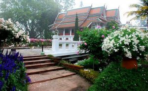 พระตำหนักภูพิงค์ doi suthep temple bhubing palace tour