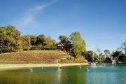 พระตำหนักภูพิงค์ doi suthep temple bhubing palace tour