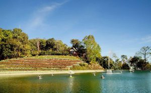 พระตำหนักภูพิงค์ doi suthep temple bhubing palace tour