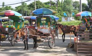 เมืองโบราณเวียงกุมกาม wiang kum kam chiang mai