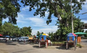 เมืองโบราณเวียงกุมกาม wiang kum kam chiang mai