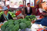 ตลาดชาวเขา ดอยอินทนนท์ doi inthanon national park chiang mai