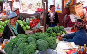 ตลาดชาวเขา ดอยอินทนนท์ doi inthanon national park chiang mai