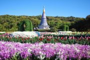 พระมหาธาตุเจดีย์ นภเมทนีดล – นภพลภูมิสิริ doi inthanon national park chiang mai