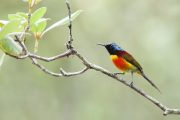 ดอยอินทนนท์ doi inthanon national park chiang mai