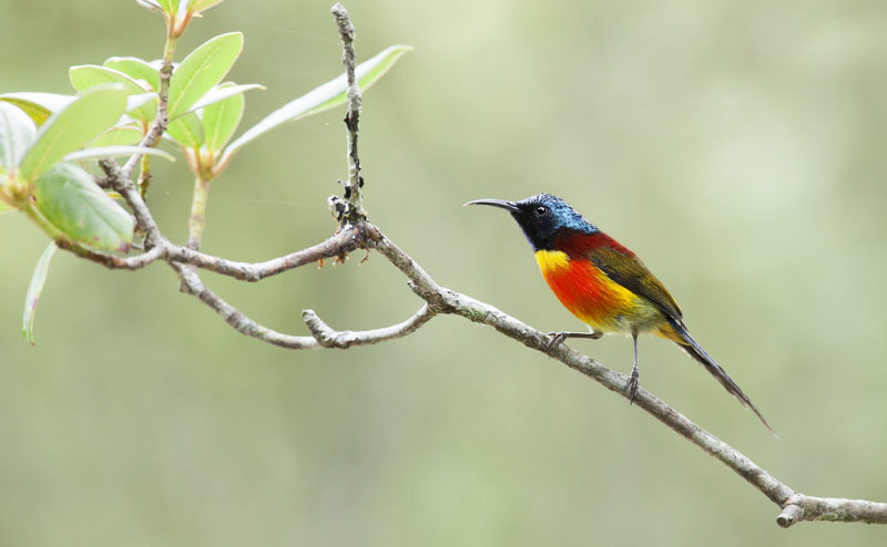 ดอยอินทนนท์ doi inthanon national park chiang mai