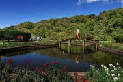 สวนดอกไม้เมืองหนาว บนดอยอินทนนท์ doi inthanon national park chiang mai