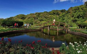 สวนดอกไม้เมืองหนาว บนดอยอินทนนท์ doi inthanon national park chiang mai