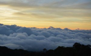 ทะเลหมอกฤดูหนาว บนดอยอินทนนท์ doi inthanon national park chiang mai