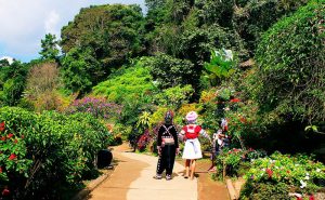 สวนดอกไม้ บ้านม้งดอยปุย doi suthep temple hmong village tour