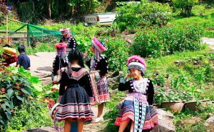 ชุดแม้ว บ้านม้งดอยปุย doi suthep temple hmong village tour