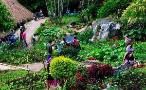 สวนดอกไม้ บ้านม้งดอยปุย doi suthep temple hmong village tour