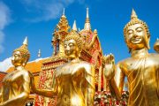 องค์พระธาตุดอยสุเทพ doi suthep temple bhubing palace tour