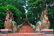 บันไดนาค วัดพระธาตุดอยสุเทพ doi suthep temple bhubing palace tour