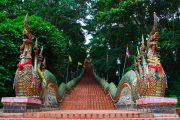 บันไดนาค วัดพระธาตุดอยสุเทพ doi suthep temple hmong village tour