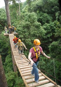 โหนสลิง Dragon Flight ดอยสะเก็ด เชียงใหม่