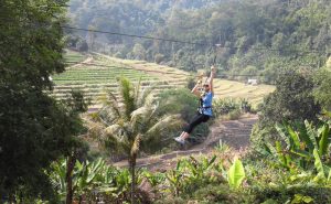 โหนสลิง Eagle Track แม่ริม เชียงใหม่