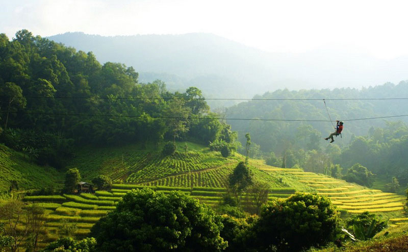 โหนสลิง Eagle Track แม่ริม เชียงใหม่