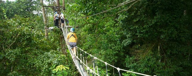 ทัวร์โหนสลิง Eagle Track เชียงใหม่