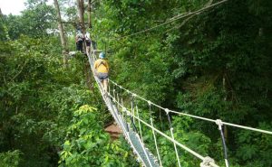 โหนสลิง Eagle Track แม่ริม เชียงใหม่