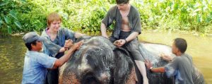 ทัวร์เลี้ยงช้าง อาบน้ำช้าง Panda Elephant Camp เชียงใหม่