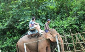 เดินป่า ขี่ช้าง ล่องแก่ง เชียงใหม่