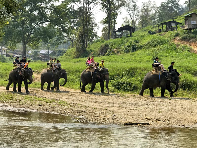 ขี่ช้าง ล่องแพ เชียงใหม่