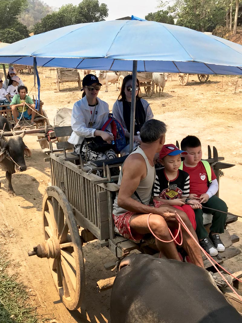 ขี่ช้าง ล่องแพ เชียงใหม่