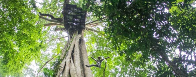 ทัวร์โหนสลิง Flight of the Gibbon แม่กําปอง เชียงใหม่