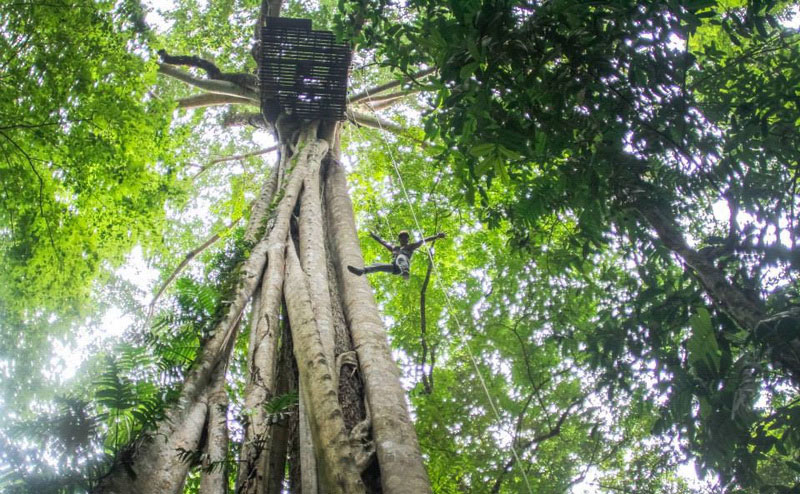 โหนสลิง Flight of the Gibbon แม่กําปอง เชียงใหม่