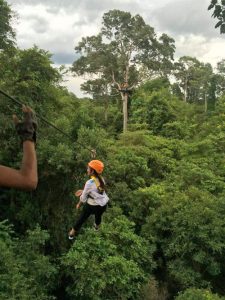 โหนสลิง Flight of the Gibbon แม่กําปอง เชียงใหม่