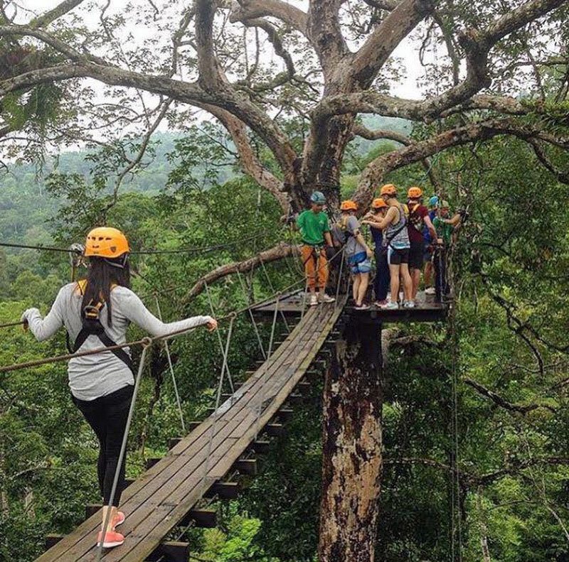 โหนสลิง Flight of the Gibbon แม่กําปอง เชียงใหม่