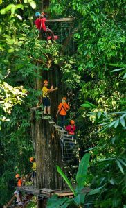 โหนสลิง Flight of the Gibbon แม่กําปอง เชียงใหม่