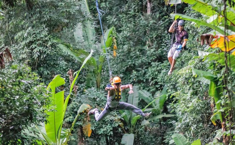 โหนสลิง Flight of the Gibbon แม่กําปอง เชียงใหม่