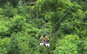 โหนสลิง Flight of the Gibbon แม่กําปอง เชียงใหม่