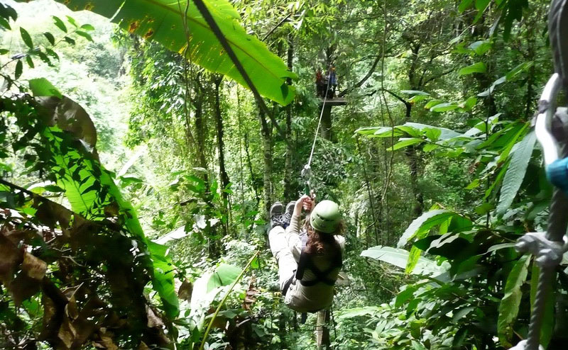 โหนสลิง Flight of the Gibbon แม่กําปอง เชียงใหม่