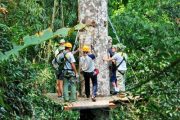 โหนสลิง Flight of the Gibbon แม่กําปอง เชียงใหม่