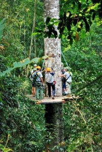 โหนสลิง Flight of the Gibbon แม่กําปอง เชียงใหม่