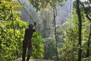 โหนสลิง Flight of the Gibbon แม่กําปอง เชียงใหม่