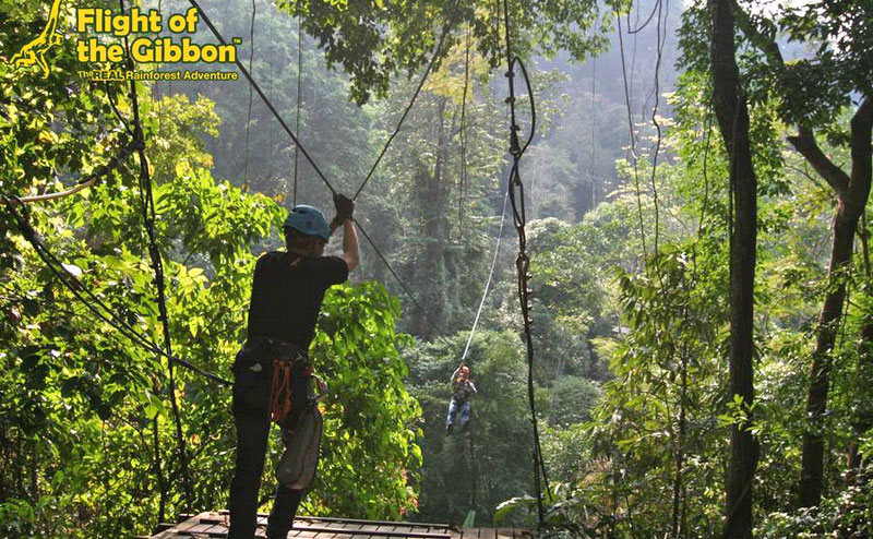 โหนสลิง Flight of the Gibbon แม่กําปอง เชียงใหม่