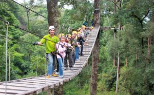 โหนสลิง Jungle Flight ดอยสะเก็ด เชียงใหม่