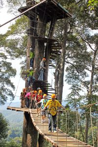 โหนสลิง Jungle Flight ดอยสะเก็ด เชียงใหม่